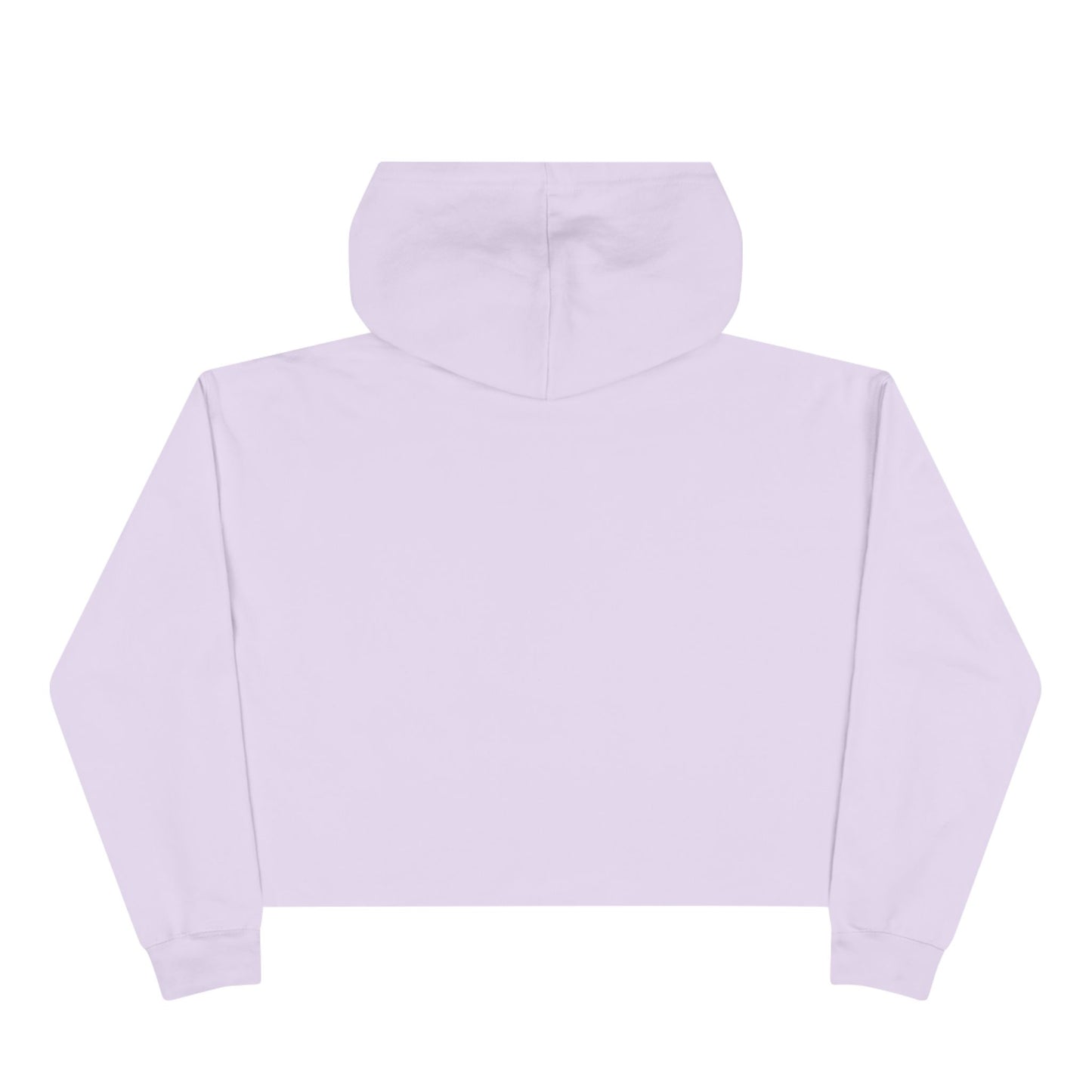 Wildly Ambitious Crop Hoodie