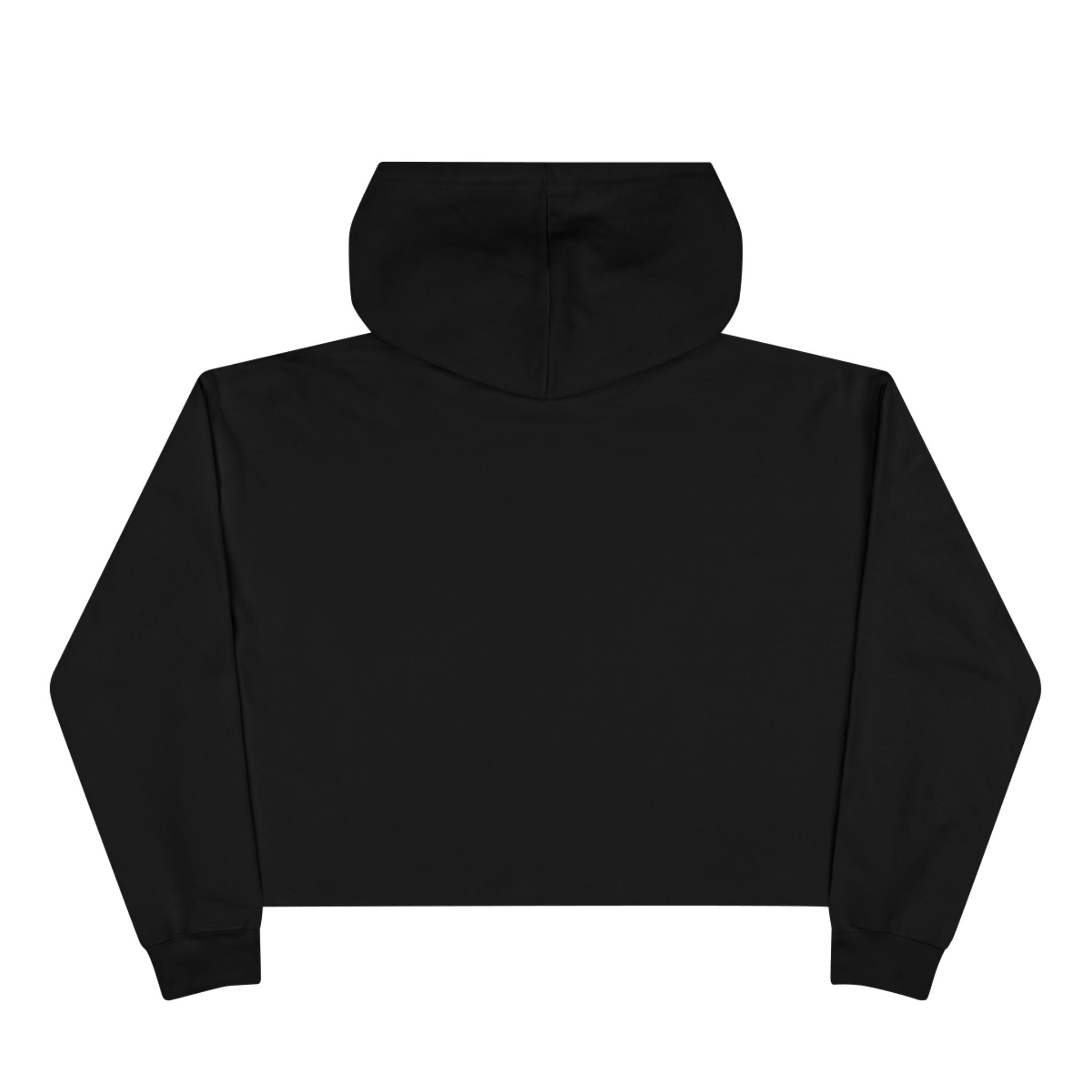 Wildly Ambitious Crop Hoodie
