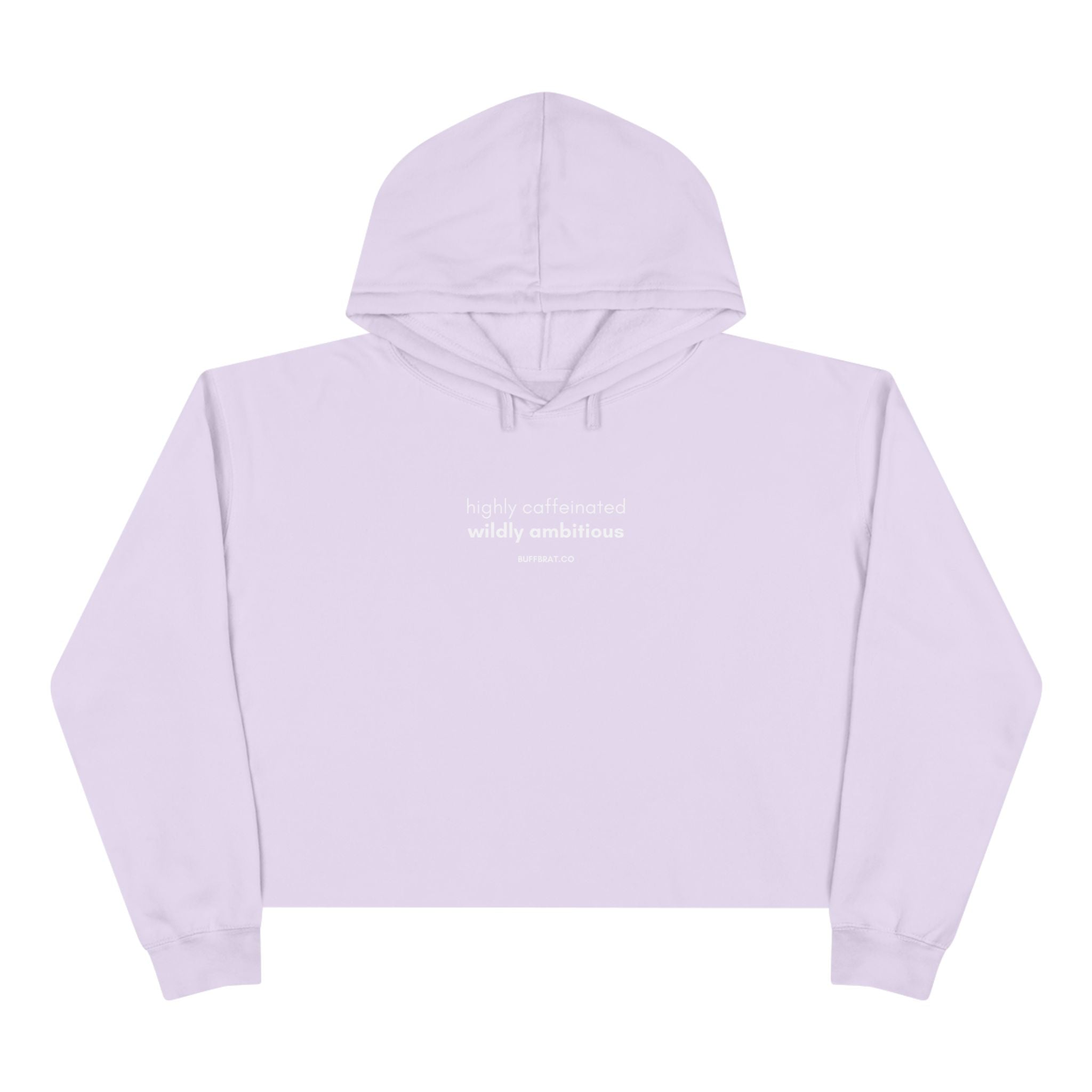 Wildly Ambitious Crop Hoodie