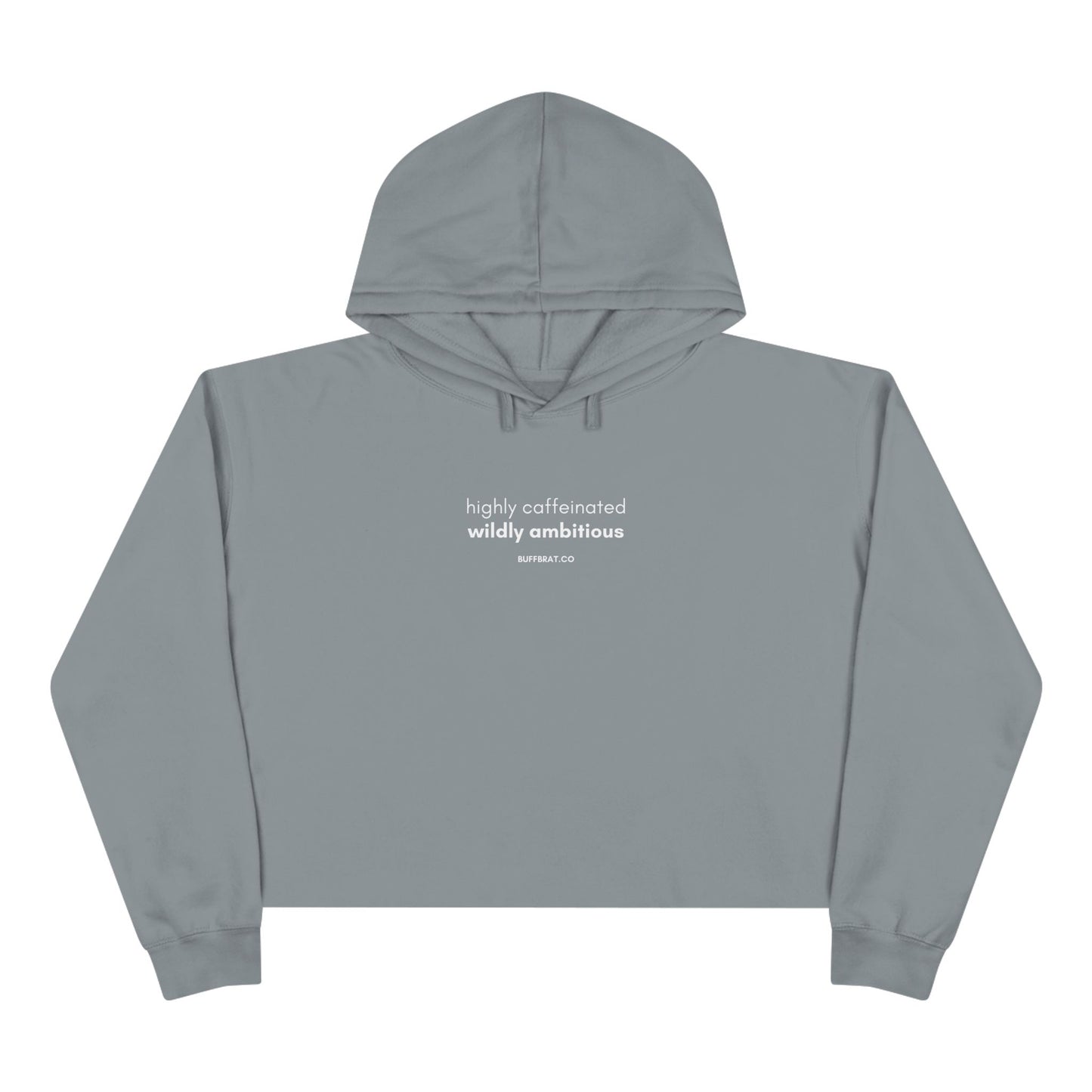 Wildly Ambitious Crop Hoodie