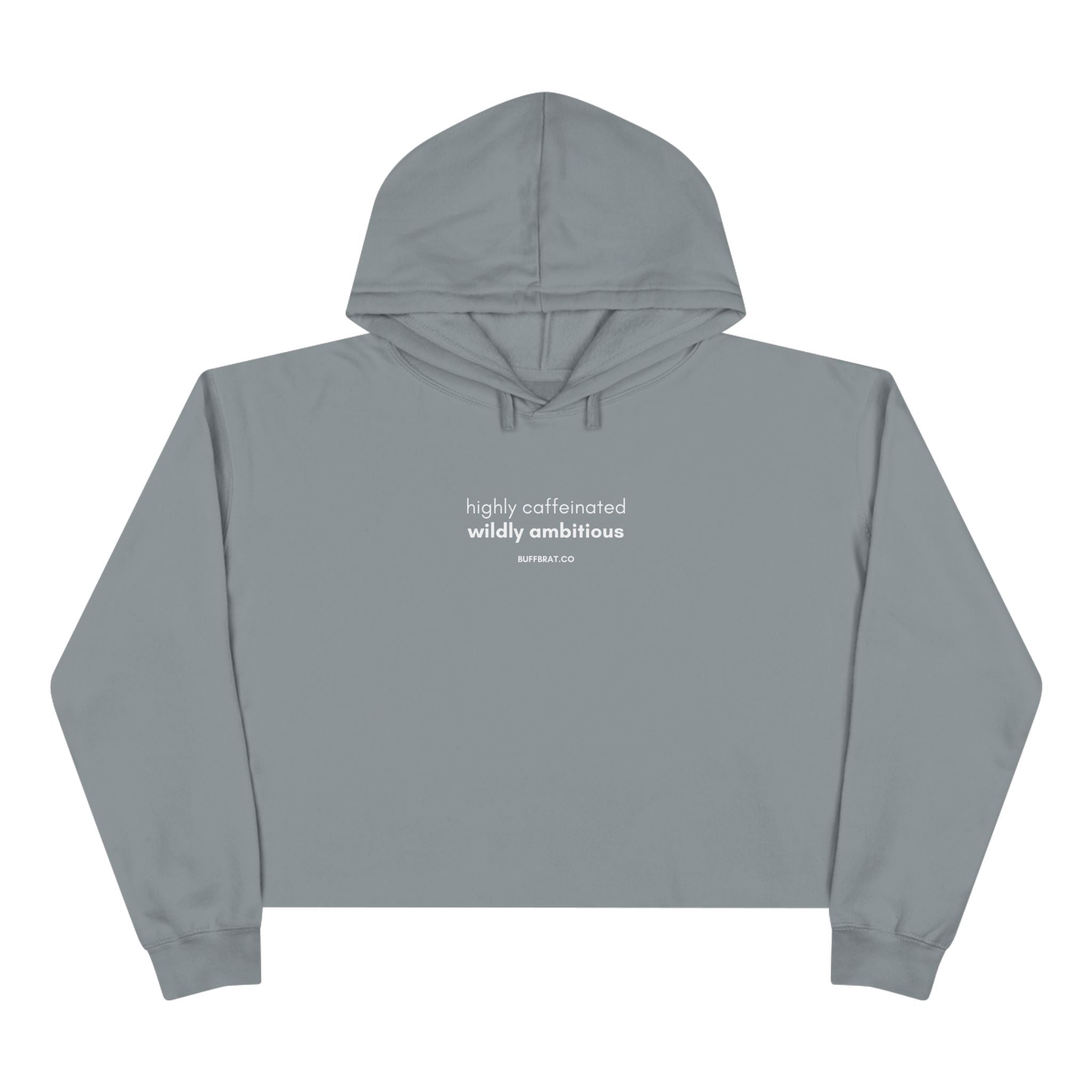 Wildly Ambitious Crop Hoodie