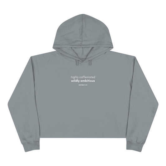 Wildly Ambitious Crop Hoodie