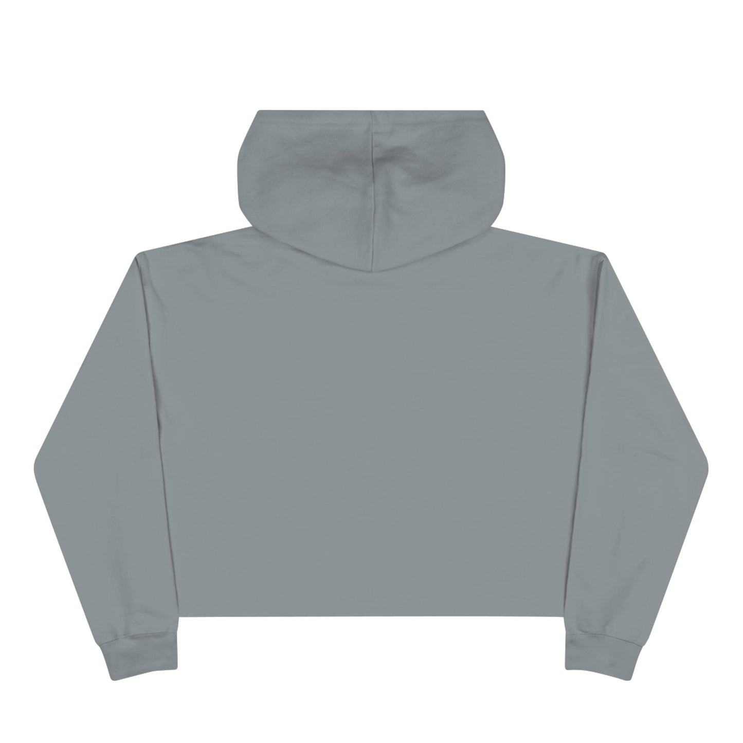 Wildly Ambitious Crop Hoodie