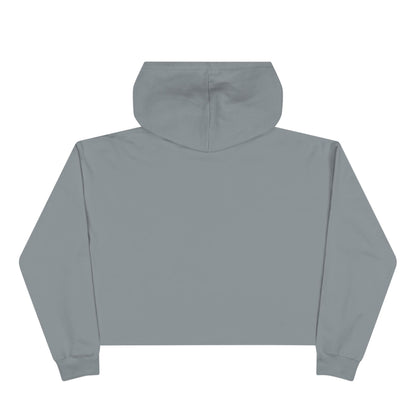 Wildly Ambitious Crop Hoodie